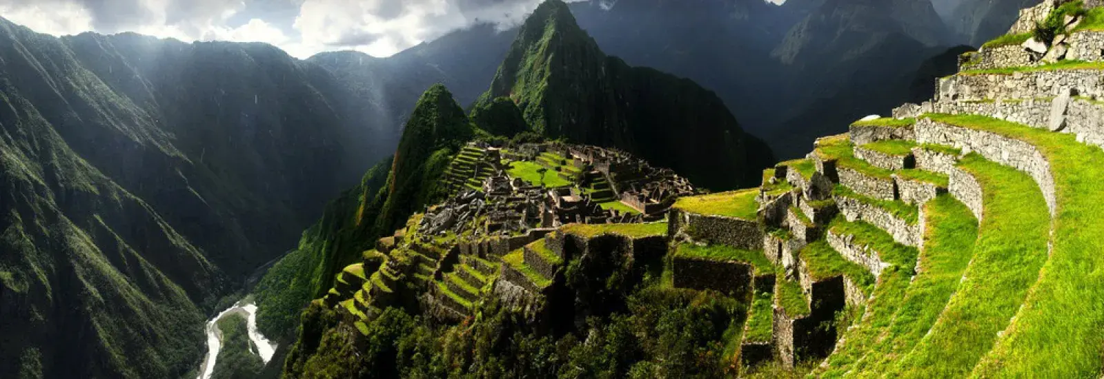 Signature South America Circle Signature South America Circle