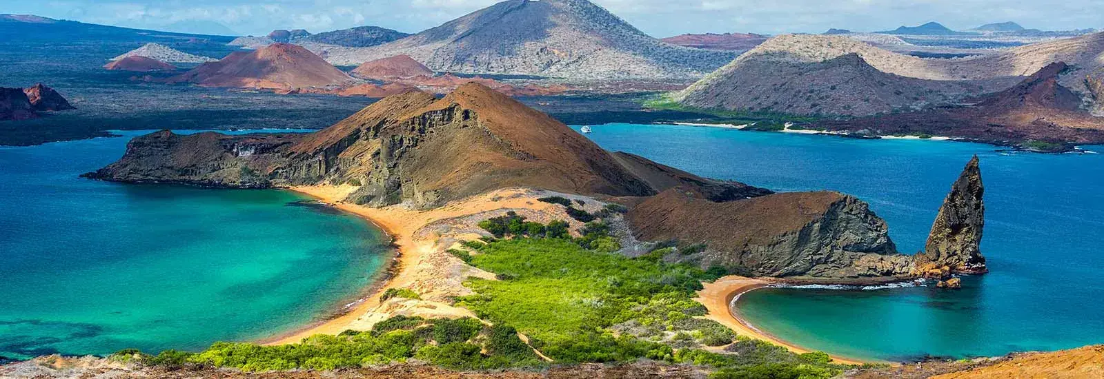 Signature Galapagos Signature Galapagos
