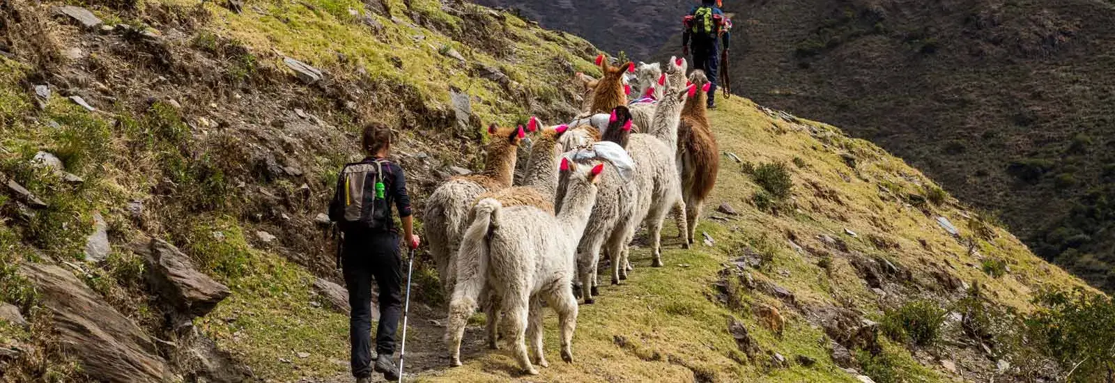 Mountain Lodges of Peru - Lares 8 Day Mountain Lodges of Peru - Lares 8 Day