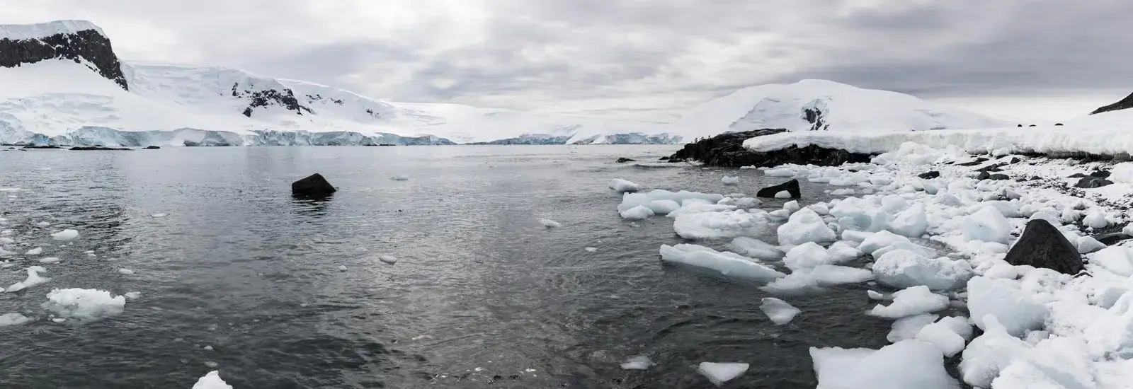 Wild Antarctica: New Scientist | Sylvia Earle Wild Antarctica: New Scientist | Sylvia Earle