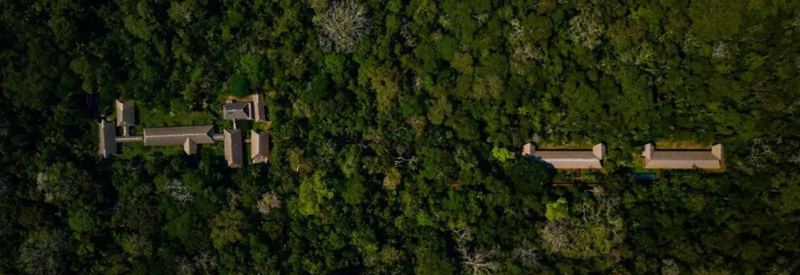 Peru Amazon Extension | Tambopata Research Centre Peru Amazon Extension | Tambopata Research Centre