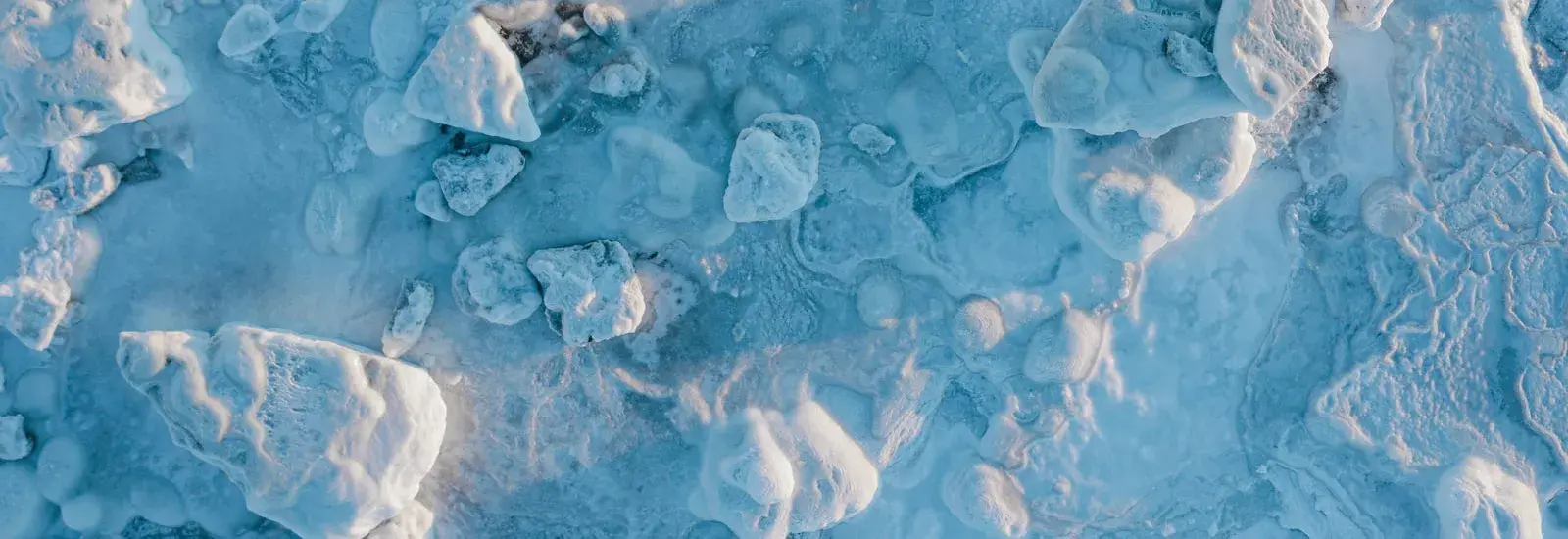 Jewels of the Arctic 2027: Southbound | Sylvia Earle Jewels of the Arctic 2027: Southbound | Sylvia Earle