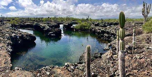 Isabela Island Isabela Island