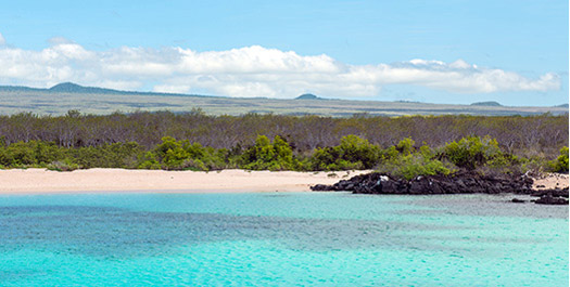 Eden Islet & North Seymour Island Eden Islet & North Seymour Island