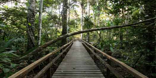 Tambopata Activities Day 3 Tambopata Activities Day 3