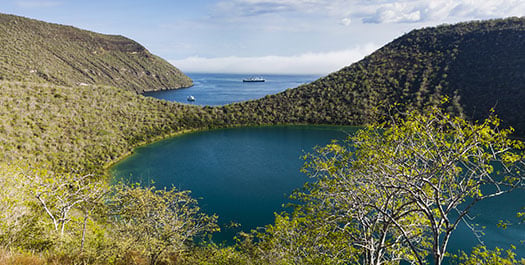 Tangus Cove & Vicente Roca Point Tangus Cove & Vicente Roca Point