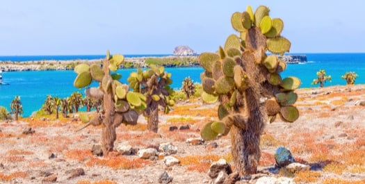 Santa Fe and Santa Cruz Islands Santa Fe and Santa Cruz Islands