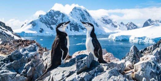 Crossing the Antarctic Circle - Day 8 to 11 Crossing the Antarctic Circle - Day 8 to 11