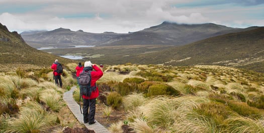 New Zealand’s Sub Antarctic Islands - Days 22-24 New Zealand’s Sub Antarctic Islands - Days 22-24