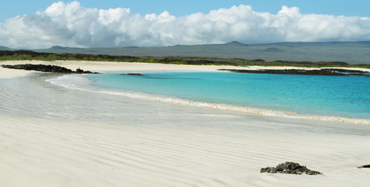 Cerro Brujo & Punta Pitt Cerro Brujo & Punta Pitt