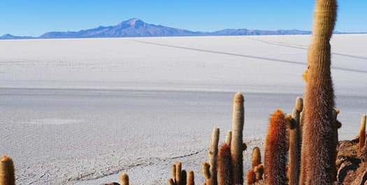 Toconao & Salar de Atacama tour Toconao & Salar de Atacama tour