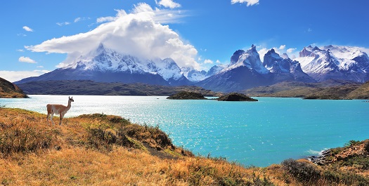 Puerto Natales and Torres Del Paine - Day 8 & 9