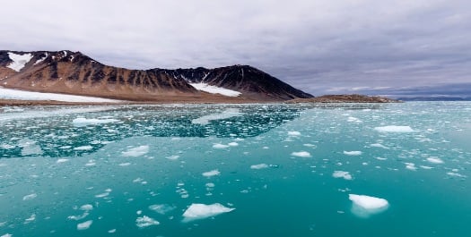 North-West Region of Spitsbergen: Days 5-6 North-West Region of Spitsbergen: Days 5-6