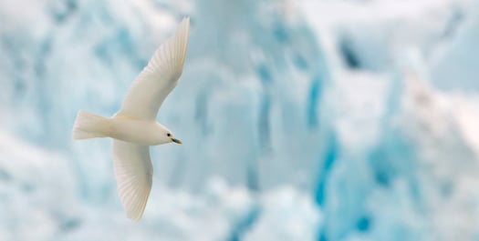 North Svalbard North Svalbard