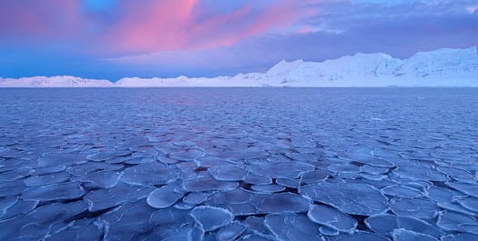 Into The Ice Into The Ice