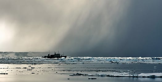 Exploring the Weddell Sea - Days 4 to 6 Exploring the Weddell Sea - Days 4 to 6