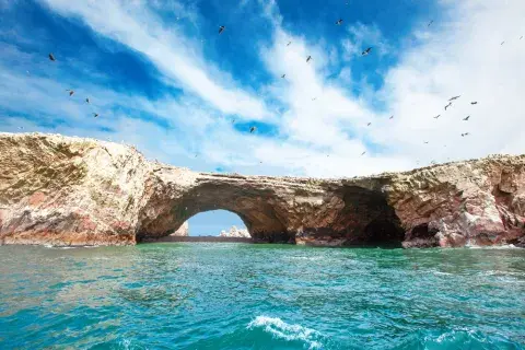 Things to do in the Ballestas Islands of Peru Things to do in the Ballestas Islands of Peru