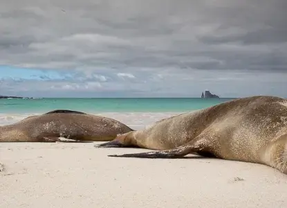 Galapagos%20hero7.jpg Galapagos Islands