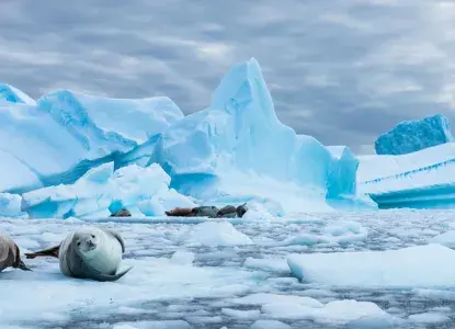 antarctic%20circle%20banner.jpg antarctic%20circle%20banner.jpg