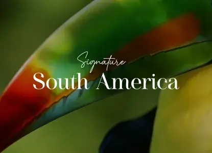 Signature South America