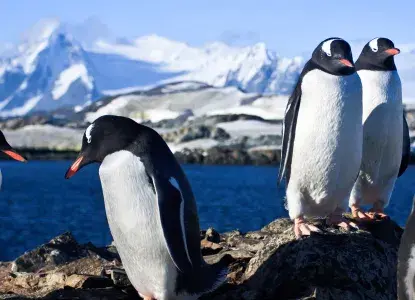 Antarctica-hero-150k.jpg Antarctica-hero-150k.jpg