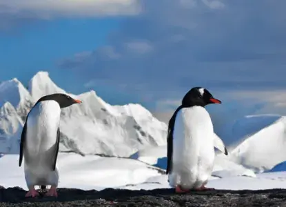 classic%20antarctica11_0.jpg classic%20antarctica11_0.jpg