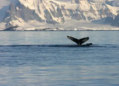 Describing Antarctica Describing Antarctica