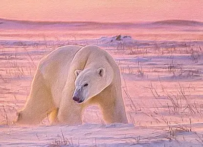 Arctic Animals – Meet the Wildlife of the North Arctic Animals – Meet the Wildlife of the North