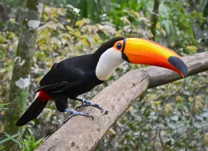 Argentina’s Sustainable Tourism Argentina’s Sustainable Tourism