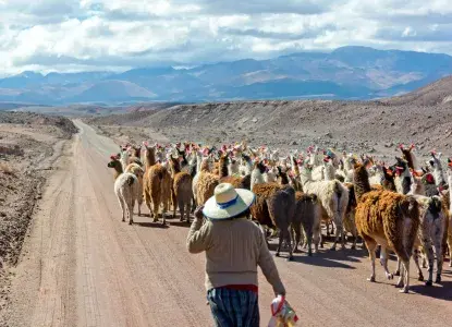 Why Travelling With a Purpose is the Best Way to Travel Why Travelling With a Purpose is the Best Way to Travel