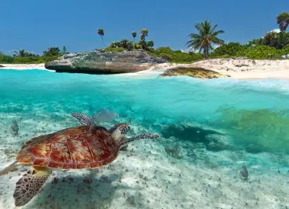 Wildlife Species of Mexico Wildlife Species of Mexico