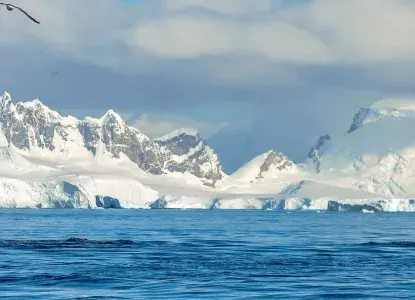 Antarctica-whale-tail-hero_0.jpg Whale fluke in icy Antarctic waters with snowy mountains in background)