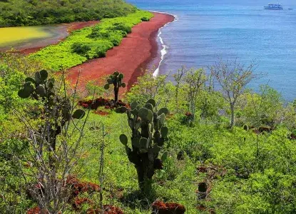 Galapagos_Rabida-coastline-hero.jpg Rabida Coastline, Galapagos Islands)