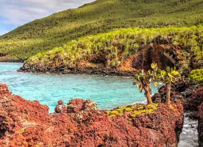Galapagos_Rabida-Island-hero.jpg Galapagos_Rabida-Island-hero.jpg