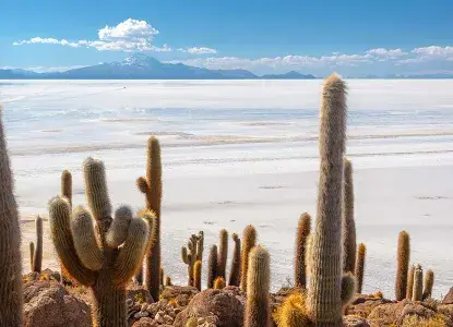 uyuni-cactus-header.jpg Iguazu Falls