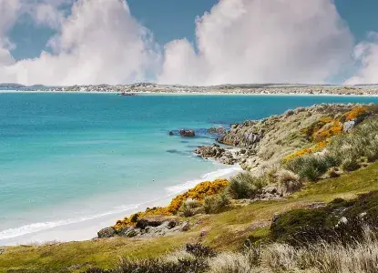 Falkland-island.jpg Sandy beach and grass tussock shoreline of the Falkland Islands with turquoise waters)