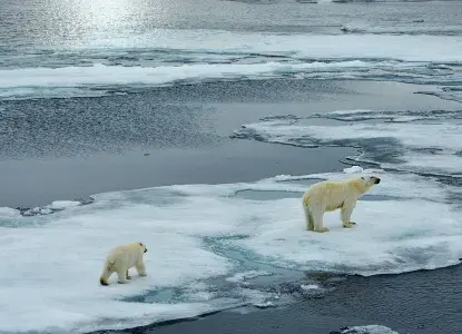 Polar-bear-icefloe-HERO_SV_G_CA_NWP.jpg Polar Bear on Icefloe)
