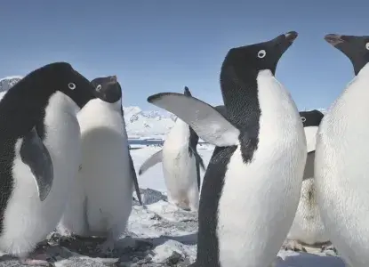 antarctica-hero-new-size-2.jpg antarctica-hero-new-size-2.jpg