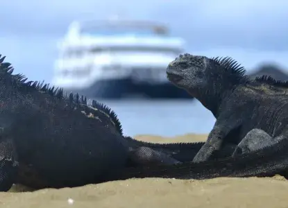The Complete Travel Guide to Galapagos Islands Cruising The Complete Travel Guide to Galapagos Islands Cruising
