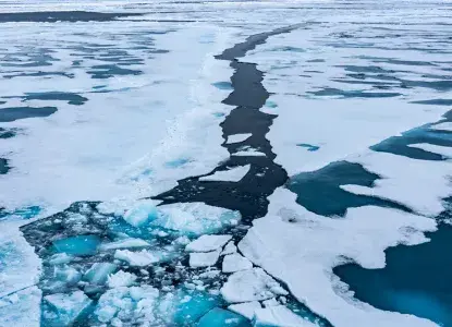 Plan the Best Svalbard Cruise With These Top Tips Plan the Best Svalbard Cruise With These Top Tips